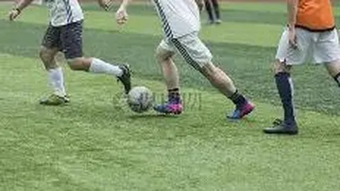 星力捕鱼平台 资讯 115821 bxz