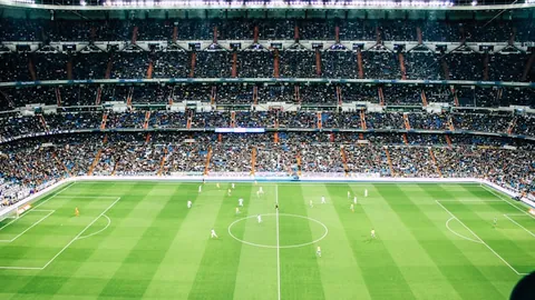 星力捕鱼平台 资讯 095352 npw